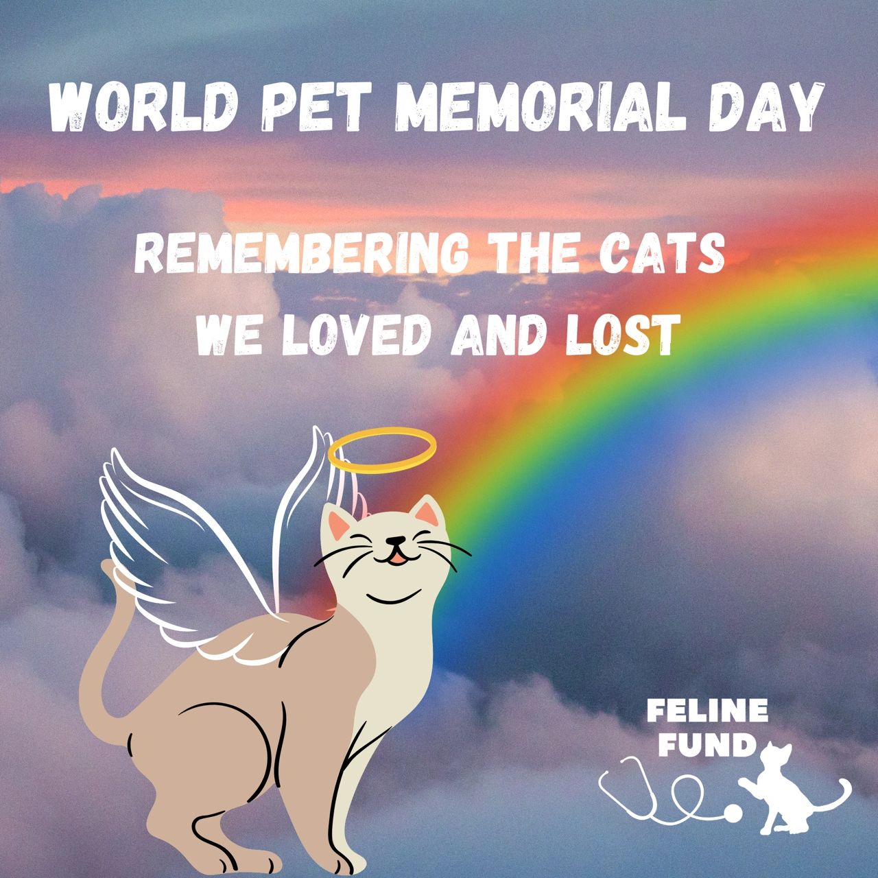 Ways to Honor and Remember your Cat on World Pet Memorial Day